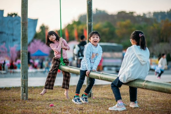 Transition énergétique : solutions innovantes pour votre logement