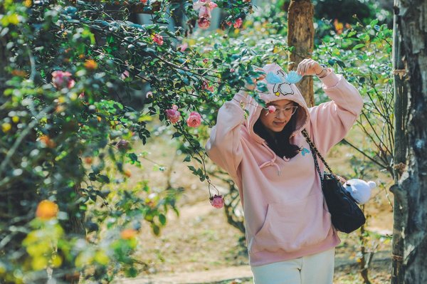 Panneau solaire photovoltaïque : un atout pour votre maison